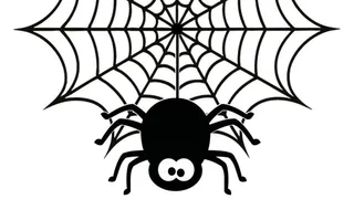 cartoon spider on a web