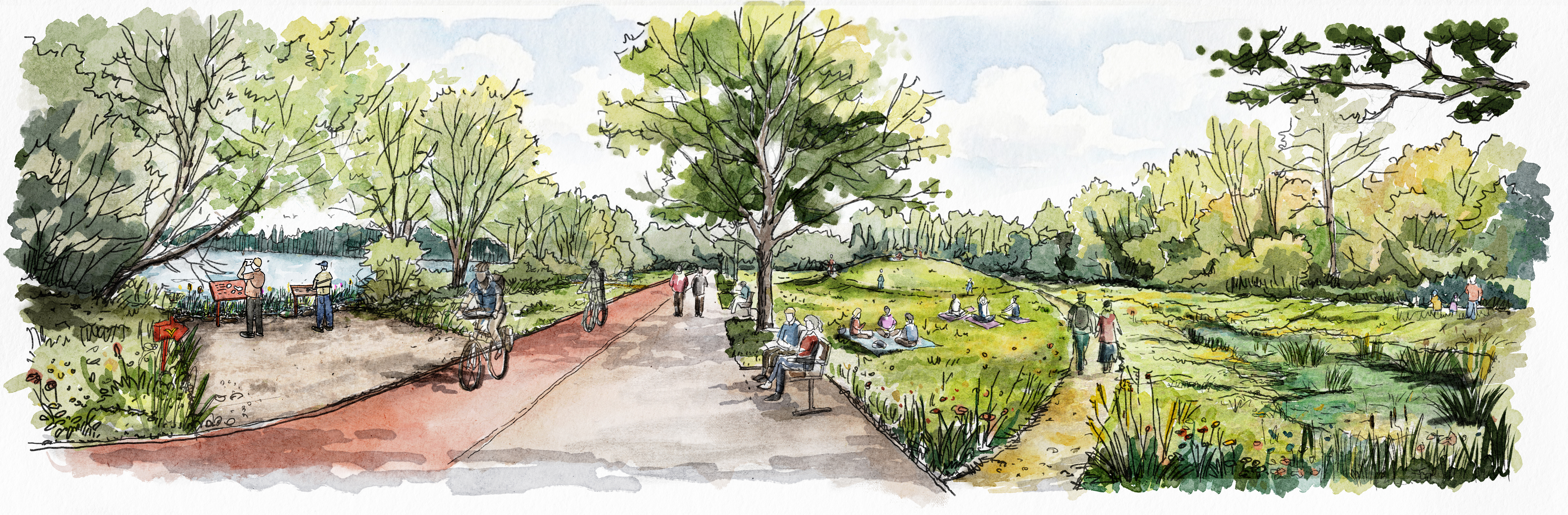 Indicative drawing of the meadow at the Aquadrome