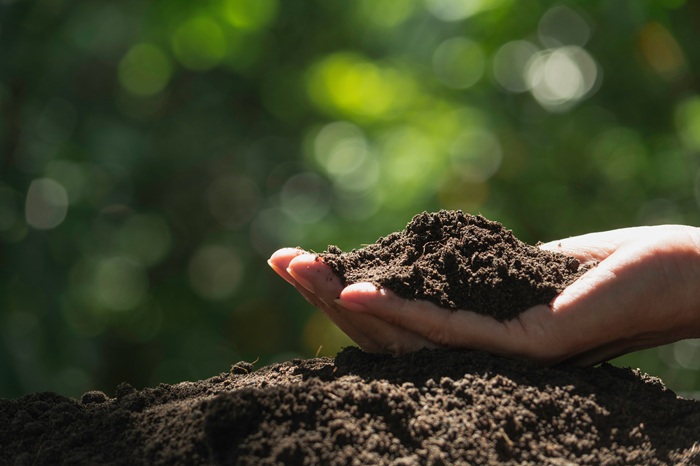 compost