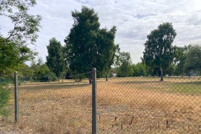 Trees at Penfold Golf Course